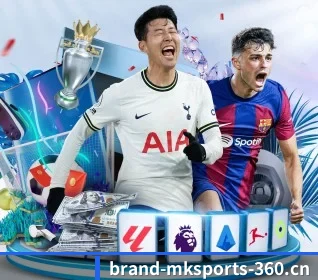 MK体育 APP - MK SPORTS
